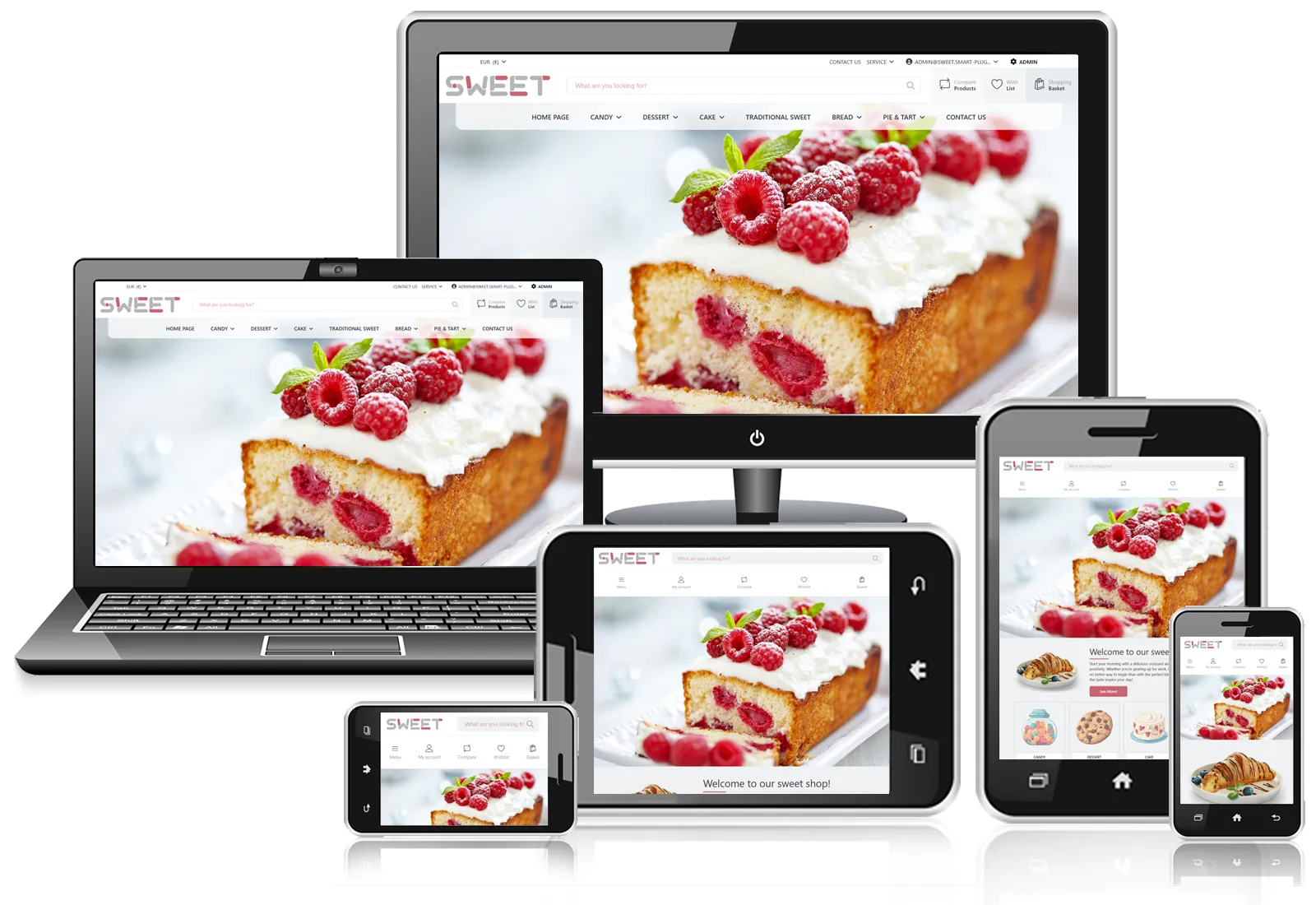 Picture of Smart Sweet Responsive Theme V5